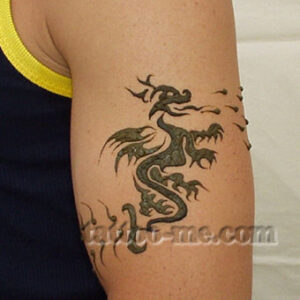 Dragons and Snakes Tattoos