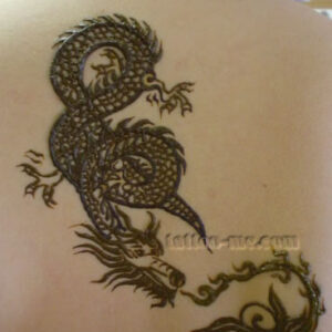 Dragons and Snakes Tattoos